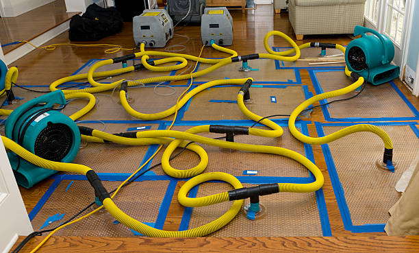 Professional Flood Damage Restoration technician working in Sun Valley, CA